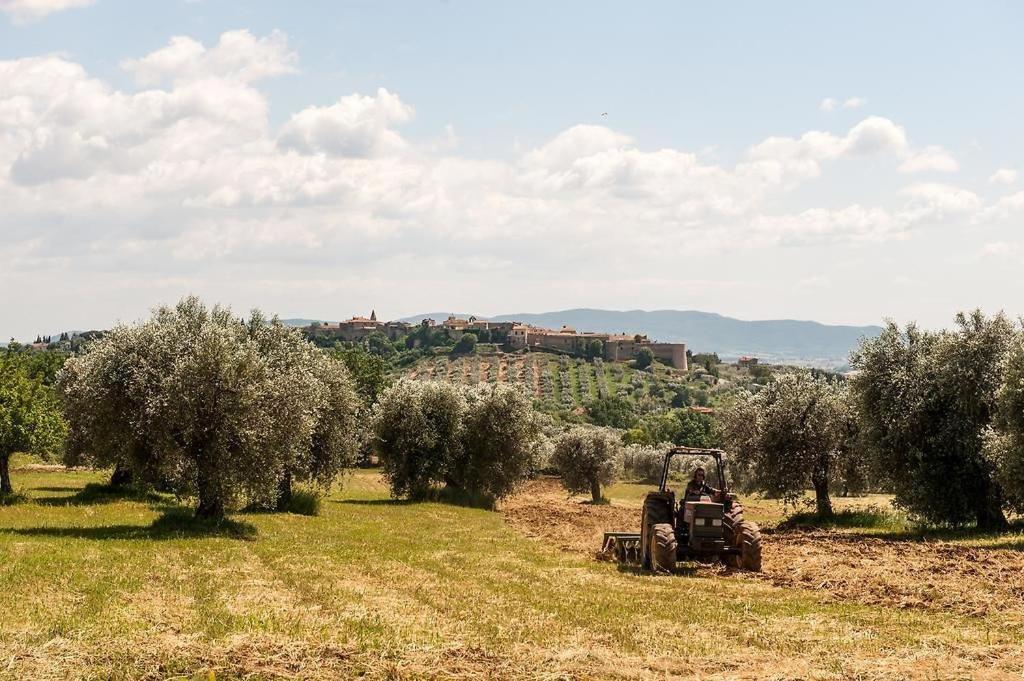 Tenuta Campospillo Magliano in Toscana Εξωτερικό φωτογραφία