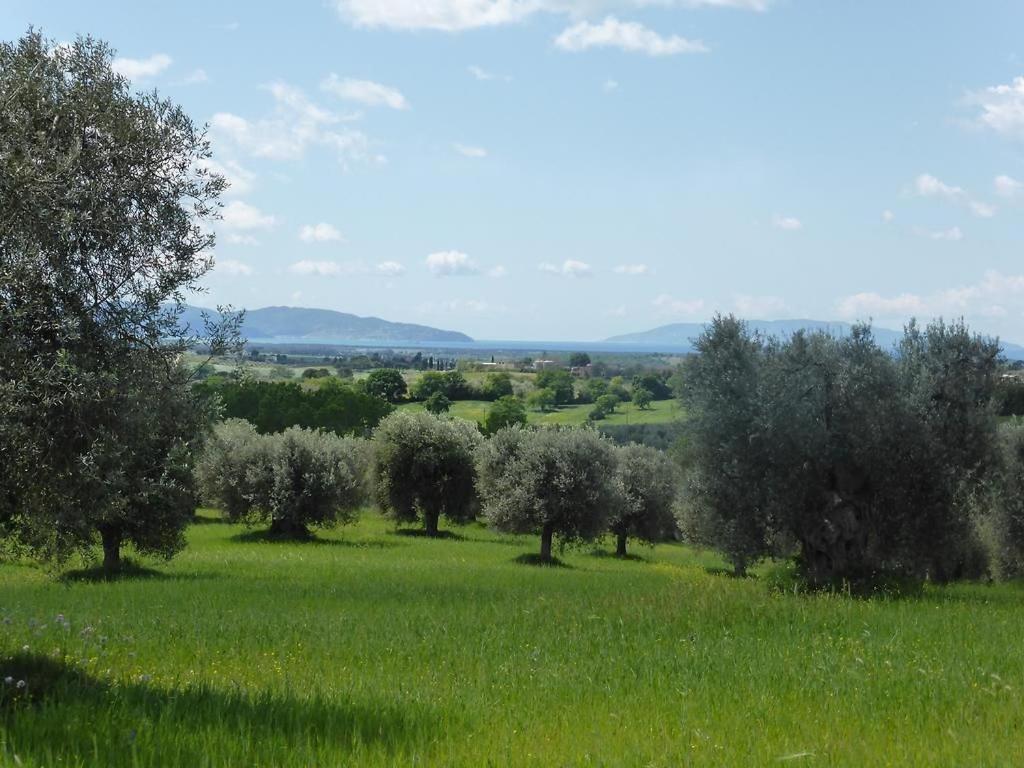 Tenuta Campospillo Magliano in Toscana Εξωτερικό φωτογραφία