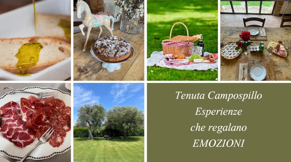 Tenuta Campospillo Magliano in Toscana Εξωτερικό φωτογραφία