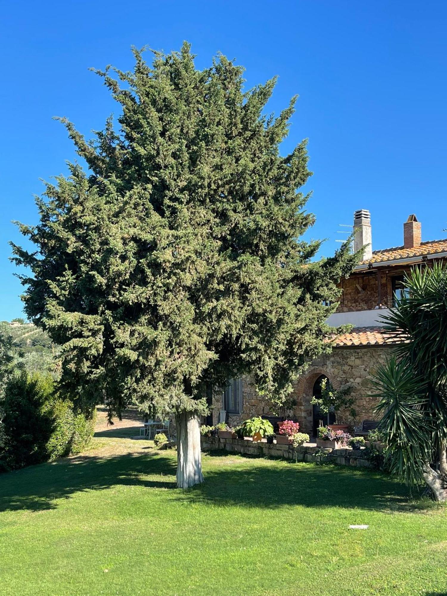 Tenuta Campospillo Magliano in Toscana Εξωτερικό φωτογραφία