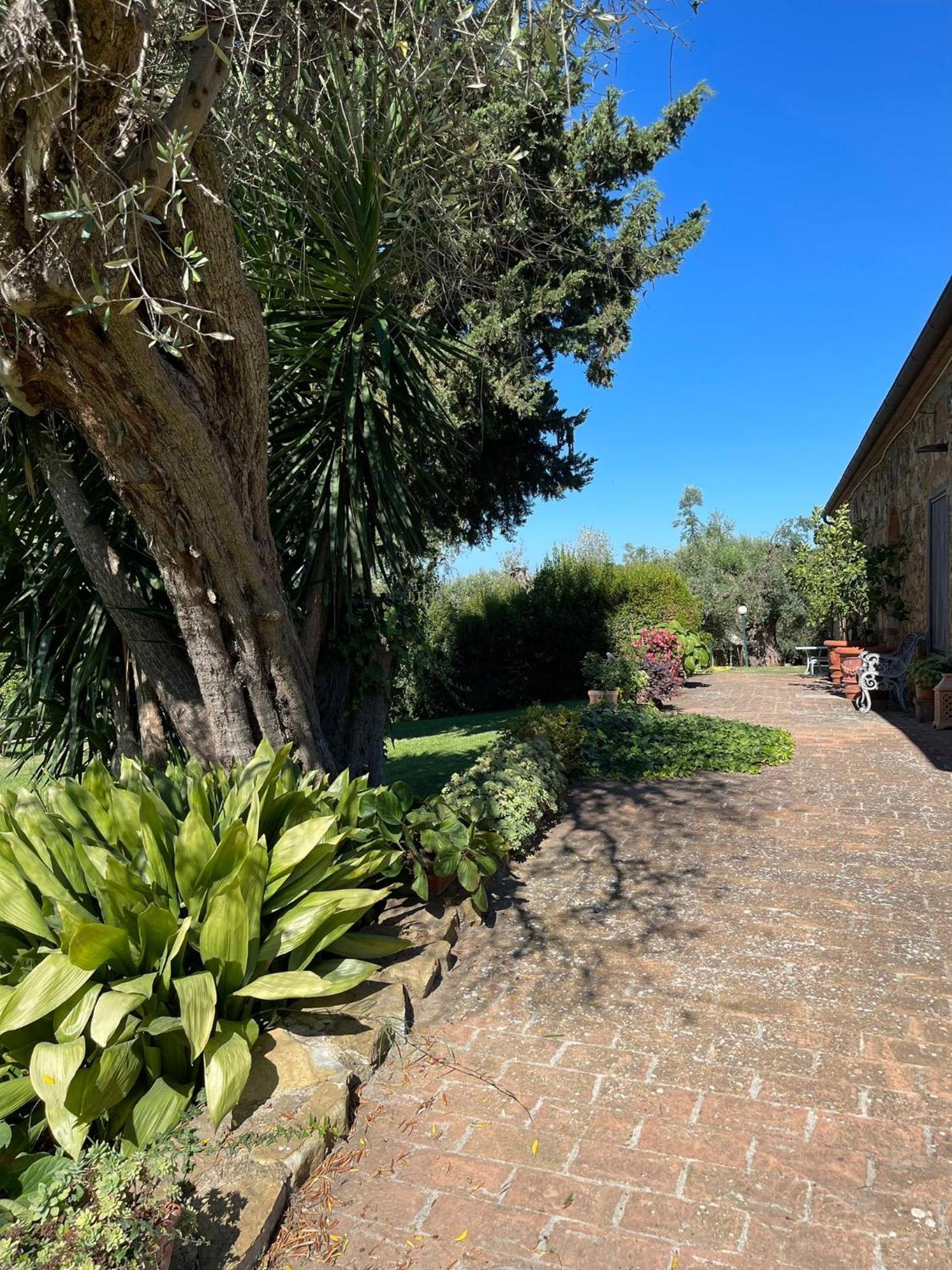 Tenuta Campospillo Magliano in Toscana Εξωτερικό φωτογραφία